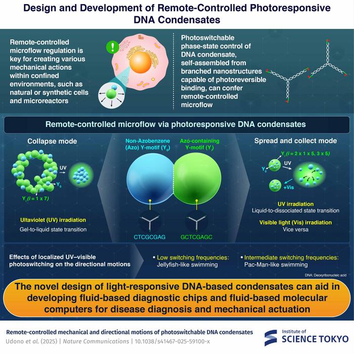 Design and Development of Remote-Controlled Photoresponsive DNA Condensates