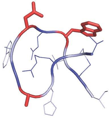 Taming Immune Response During Dialysis