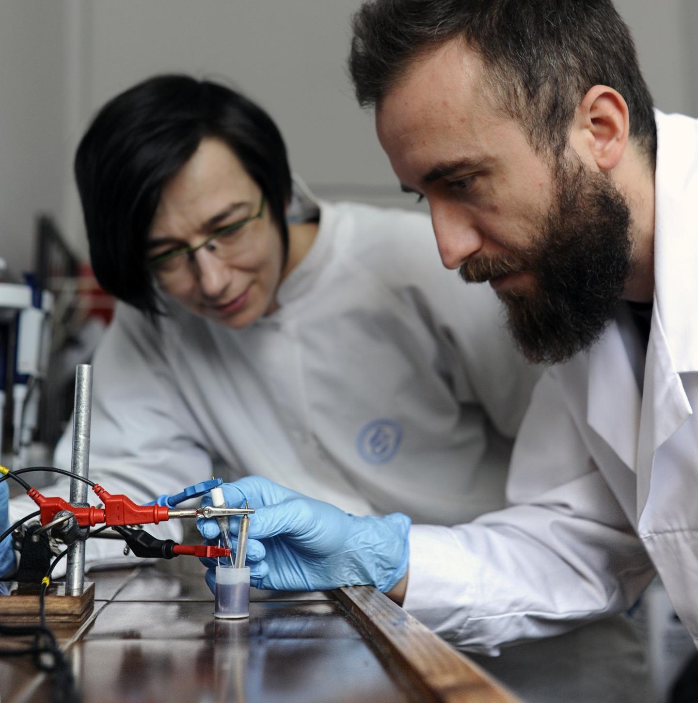 Researchers from IPC