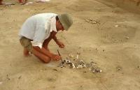 Large Knapping Scatter