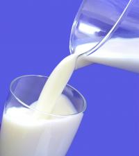 Milk