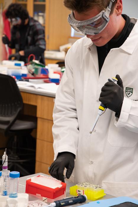 Photo 2 - Synethic Cell Engineering