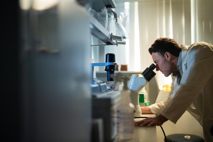 David Nathanson, PhD, professor of molecular and medical pharmacology at UCLA.
