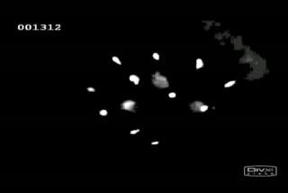 Rapid Whisker Movements in Sleeping Newborn Rats