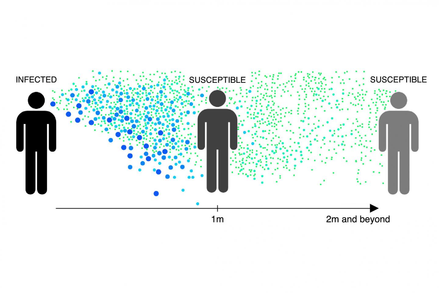 particles