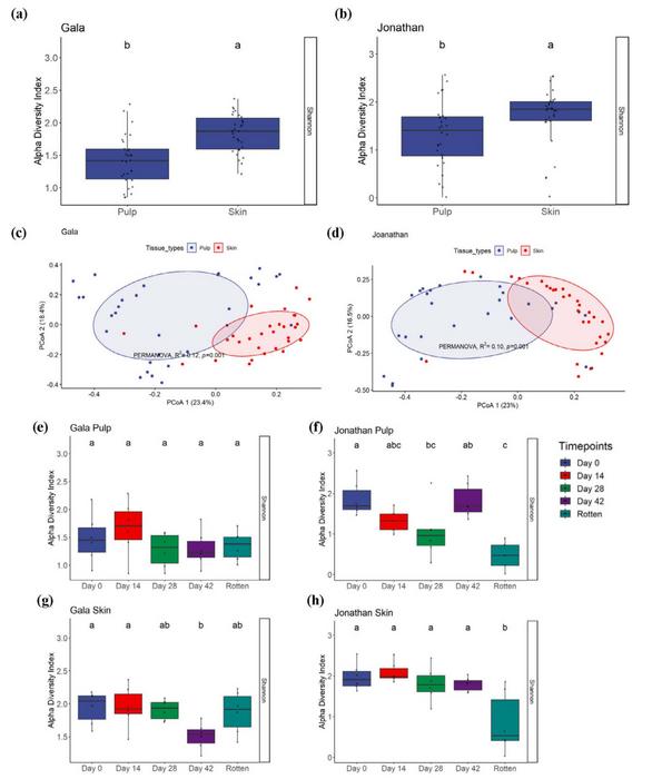 Bacterial communities associated with pulp and skin tissues in Gala.