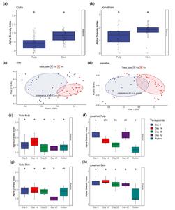 Bacterial communities associated with pulp and skin tissues in Gala.