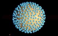 AIDS Virus