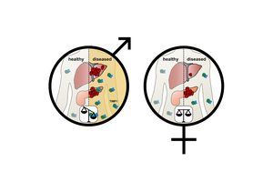 A protein causes higher risk of severe cancer progression for men