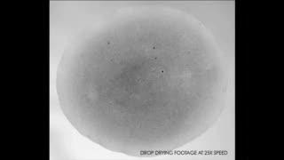 The Coffee Ring Effect