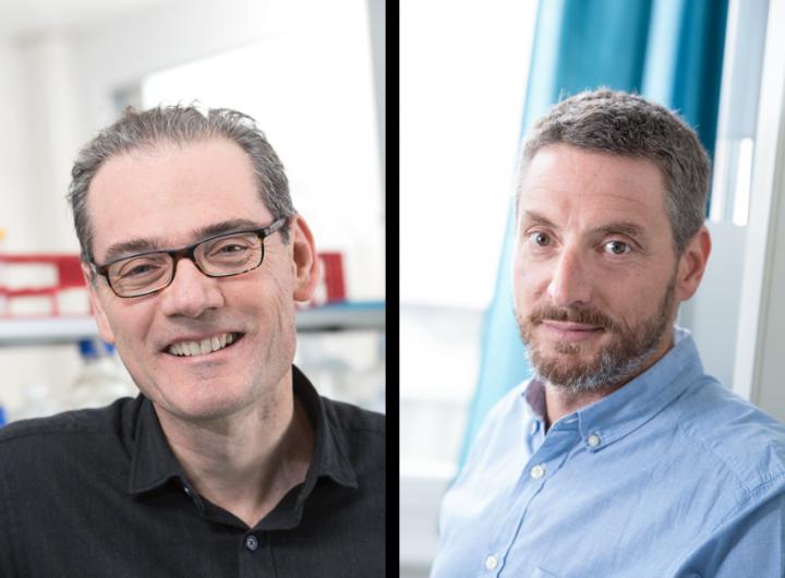 George Coukos and Alexandre Harari, 	Ludwig Institute for Cancer Research