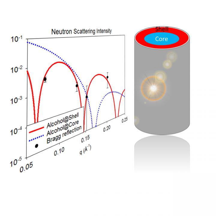 Core-Shell Structure Formed by a Binary Fluid within a Nanocapillary