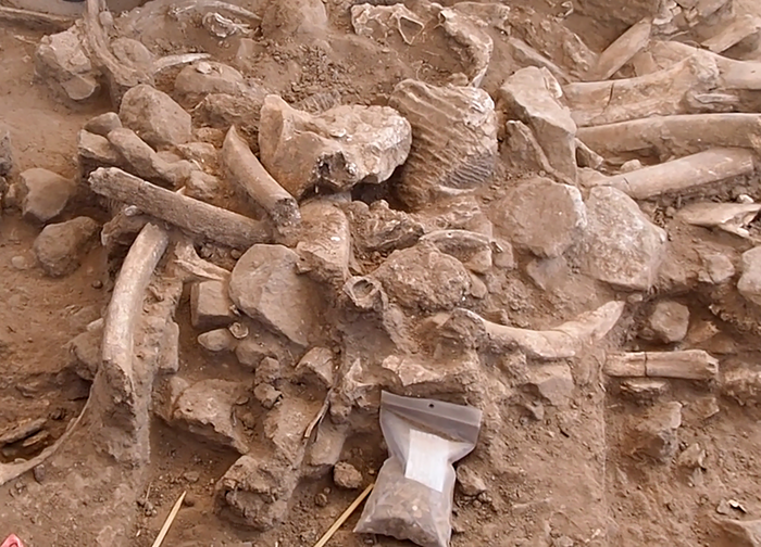 Dig site close up_Rowe