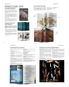 Structure and Content