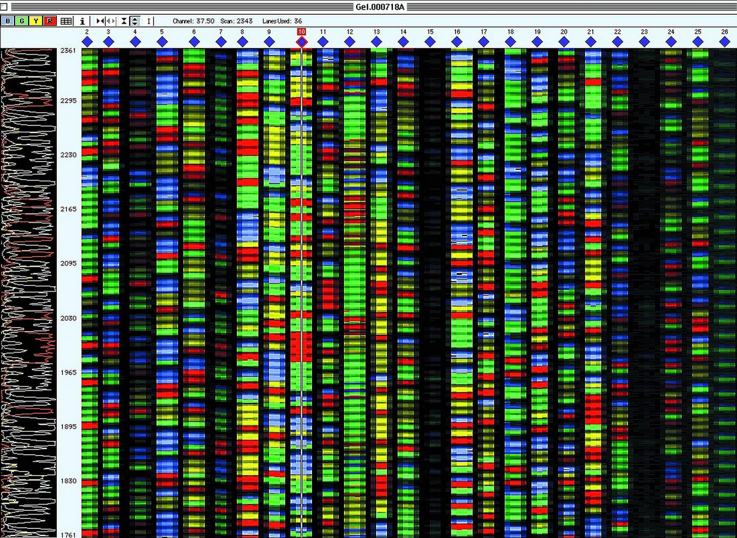 DNA Sequencing
