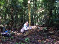 Researcher Ma&iacute;ra Benchimol Deploying a Camera Trap