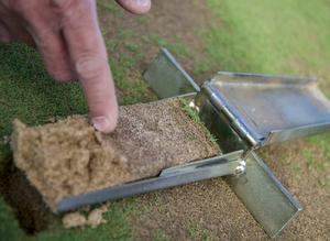 Sand-based turfgrass root zone