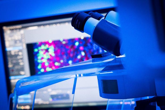 Texas Children's NRI Microscope