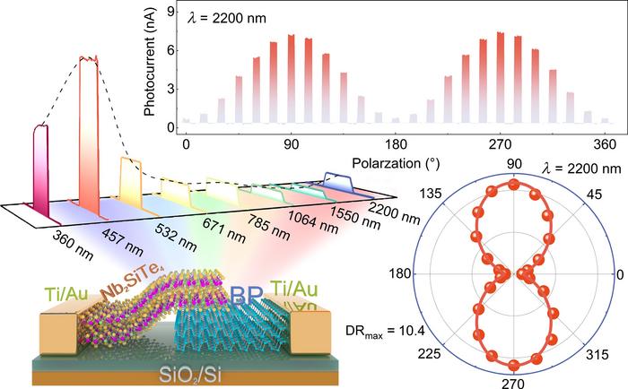 A novel low-symmetry two-dimensional heterojunction