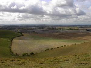 All Cannings Cross
