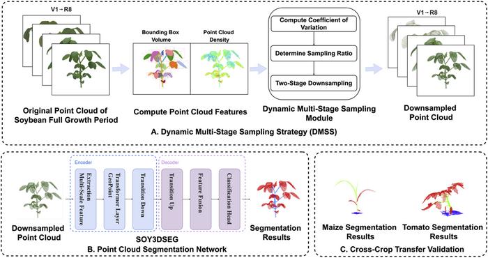 Overview of the SOY3DSEG workflow.
