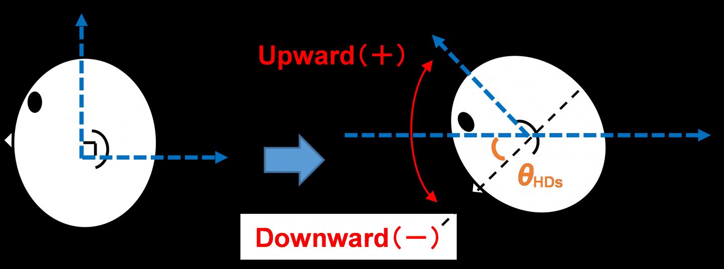 Fig.2