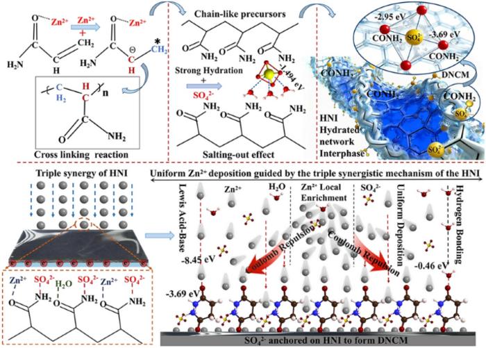 Hydrated Network Interphase with Dynamic Negatively Charged Microregion Enables Ultra‑Stable Aqueous Zinc‑Ion Batteries