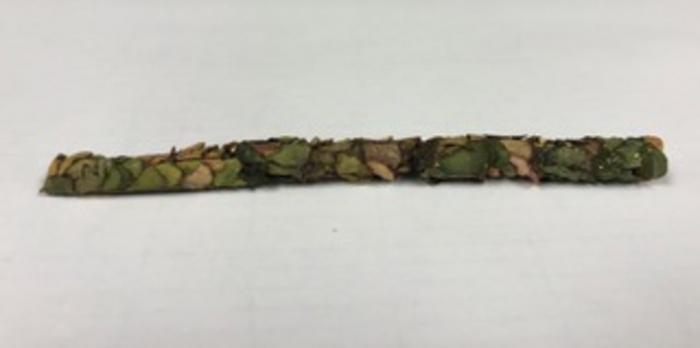 An intact cavity-nesting bee nest extracted from a nesting tube