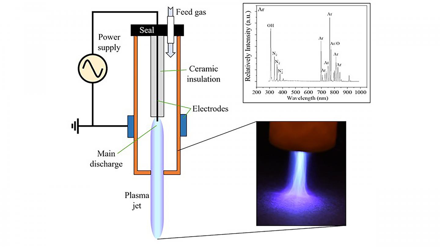 Schematic of Cold Atmospheric Plasma Device with Image