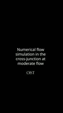 Simulation of the Spiral Vortex Which Causes Cell Deformation at Cross-Junction and T-Junction