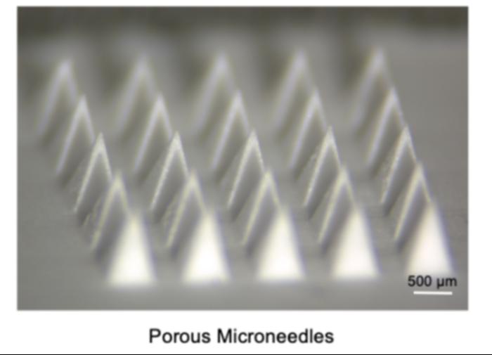 Fig. 2 | Fabricated Porous microneedles.