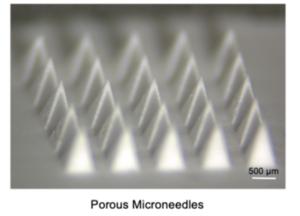 Fig. 2 | Fabricated Porous microneedles.