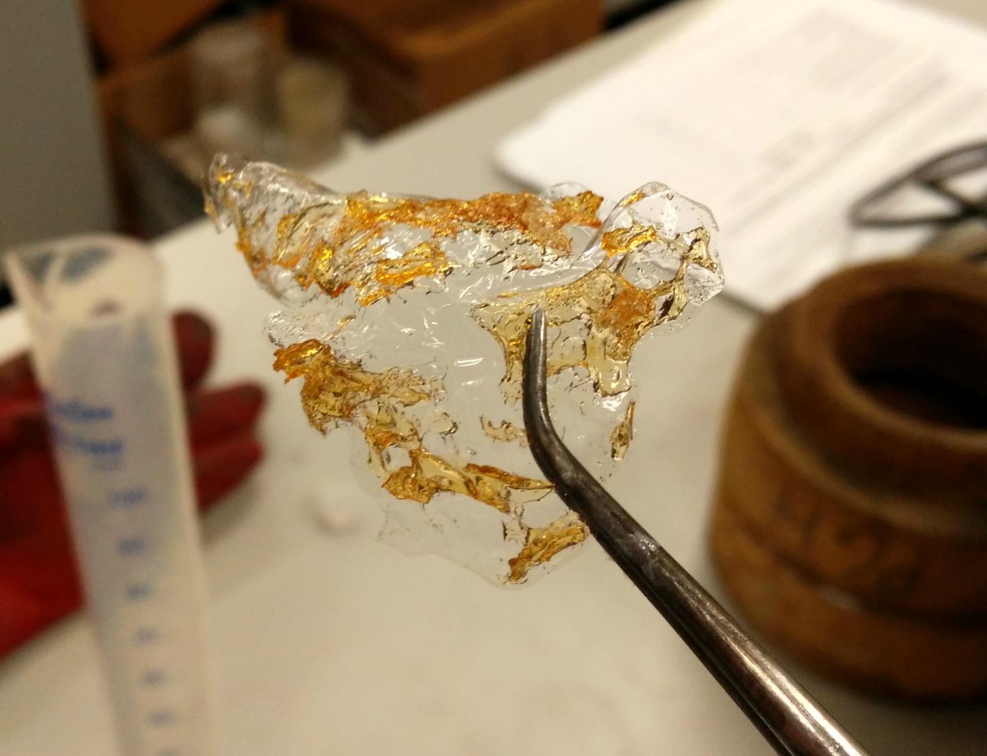 Chitosan Film