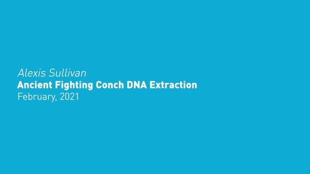 Alexis Sullivan_Conch DNA