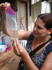 House Sampling for Mosquitoes