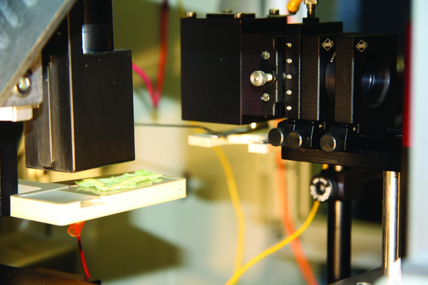 Custom-Built Laser Source