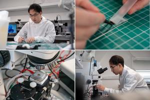 lab photo collage