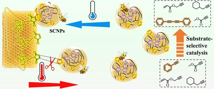 Hive-inspired nano-carriers for recyclable single-chain nano-catalysts