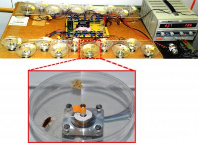 Motor-driven Artificial Antennae