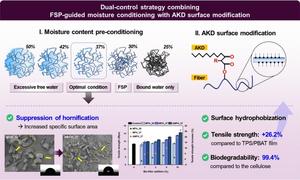 [2] Dual-Control Strategy for High-Performance Cellulose-Reinforced Biodegradable Composites