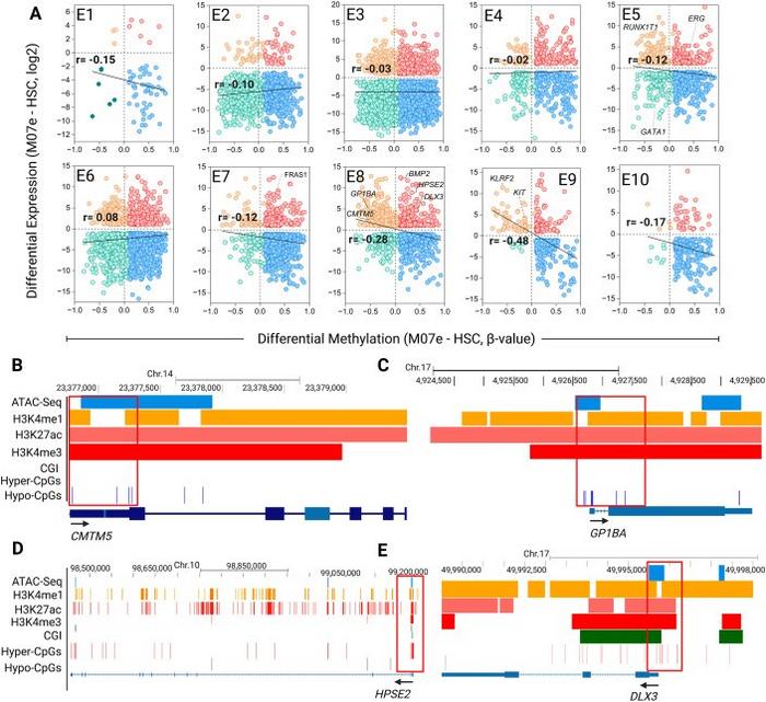 Correlation between DNA methylation, chromatin states, and gene expression in C/G+ M07e cells.