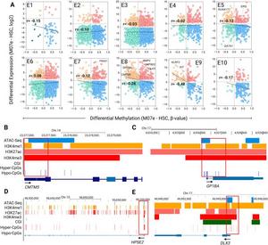 Correlation between DNA methylation, chromatin states, and gene expression in C/G+ M07e cells.