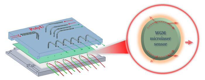 Lab-on-a-chip with microlaser biosensor