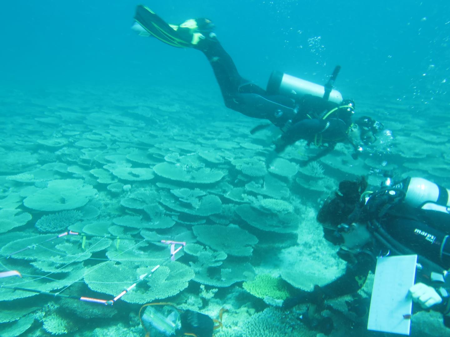 Underwater Research