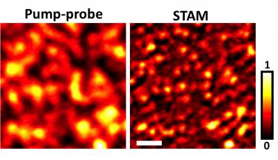 Nanoplatelets