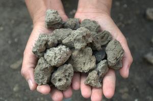 A handful of pumice