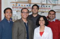 The Kalsotra Lab, University of Illinois at Urbana Champaign