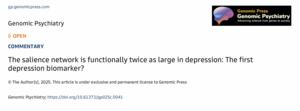 The salience network is functionally twice as large in depression