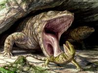 Early Permian <i>dissorophid Cacops</i>