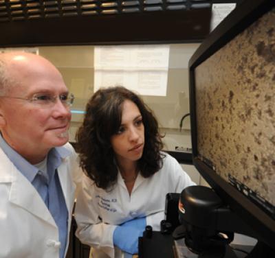 Common Genetic Mutation Increases Sodium Retention, Blood Pressure